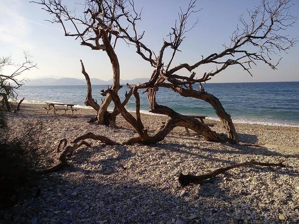 Villa Demirci 4 Kusadası